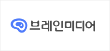 브레인미디어