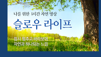 슬로우라이프