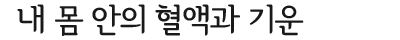 씽씽 돌아라 내 몸 안의 혈액과 기운
