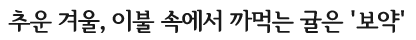 추운 겨울, 이불 속에서 까먹는 귤은 보약