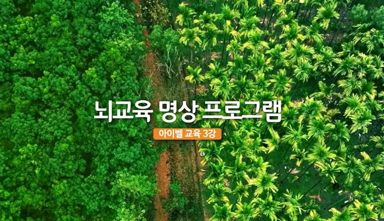뇌교육 명상 프로그램과 그 효과에 대해 알아봅니다.